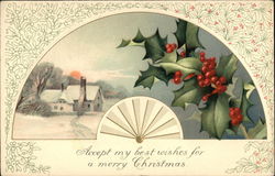 Accept my Best Wishes for a Merry Christmas Postcard Postcard