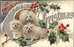 A Merry Christmas Postcard Postcard