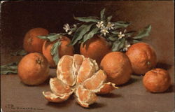 Still Life of Oranges Postcard Postcard