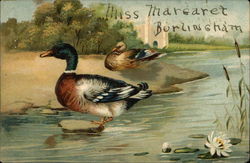 A Pair of Ducks Near a Pond With Waterlily and Cattails Postcard