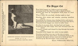 The Beggar Cat Postcard