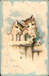 Pair of Cats Postcard