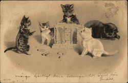 Five Cats With Building Blocks Postcard