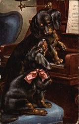 Daschund Puppies at the Piano Postcard