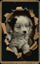 White Puppy With Black Ear Dogs Postcard Postcard