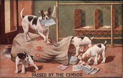 Passed by the Censor Postcard