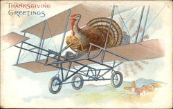 Thanksgiving Greetings Turkeys Postcard Postcard