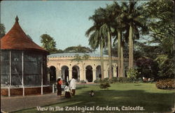 Zoological Gardens Calcutta, India Postcard Postcard