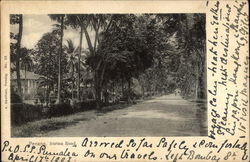 View of the Burma Road in Penang Postcard