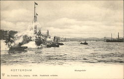 Maasgezicht Postcard