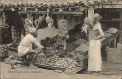 Native Fruit Stall Postcard