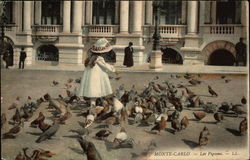 Les Pigeons Postcard