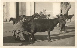 Woman Milking a Goat Spain Goats Postcard Postcard