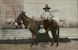 Man with Donkey: Recuerdo de Chihuahua Postcard