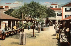 Madeira. Funchal. Praça de S. Pedro Portugal Postcard Postcard