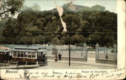 Bosque de Chapultepec Postcard