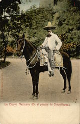 A Mexican Charro in Chapultepec Park Mexico City, Mexico Postcard Postcard