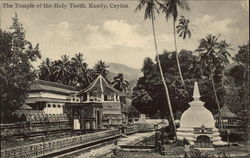 The Temple of the Holy Tooth Postcard