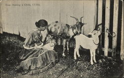 Goat Nursing a Child Postcard