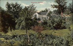 Somerville Bermuda Postcard Postcard