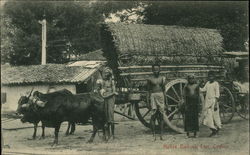 Native Bullock Cart Sri Lanka Southeast Asia Postcard Postcard