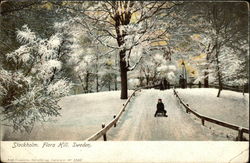 Snowy Scene, Flora Hill Stockholm, Sweden Postcard Postcard