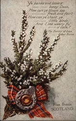 Greeetings from Bonnie Scotland - Heather Postcard Postcard