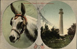 Bermudian Canary and Gibbs Lighthouse Bermuda Postcard Postcard