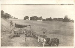 Harvesting Hay Farming Postcard Postcard