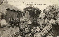 Bringing in the Sheaves, a Common Scene on an Iowa Farm Postcard