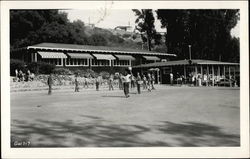 Children Playing at Presbyterian Conference Grounds Pacific Palisades, CA Postcard Postcard