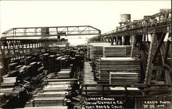 Lumber Cranes, Union Lumber Co Postcard