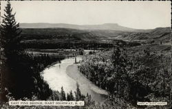 East Pine Bridge, Hart Highway Postcard