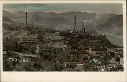 Aerial View of Town Trail, BC Canada British Columbia Postcard Postcard