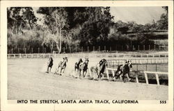 Into the Stretch, Santa Anita Track Arcadia, CA Horse Racing Postcard Postcard