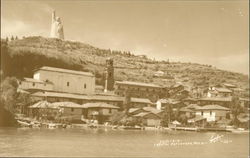 View of Town and Statue Postcard