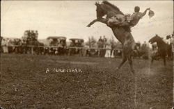 A Sunfisher Postcard