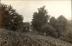 Field of Corn and Farmhouse Farming Postcard Postcard