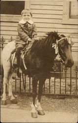 Little Boy Riding Black and White Pony Postcard