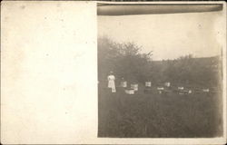 Woman and Beehives Farming Postcard Postcard