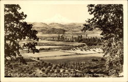 Mt. Hood Hood River Valley, OR Postcard Postcard