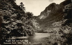 Profile Lake and Eagle Cliff, Franconia Notch, White Mountains Postcard