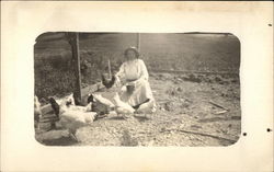 Feeding Chickens Postcard