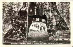 Pioneers Cabin, Calaveras Big Trees Arnold, CA Postcard Postcard