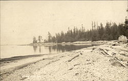 View of the Lake Landscapes Postcard Postcard