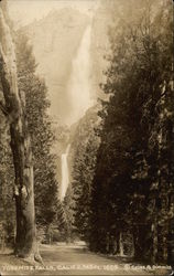 Yosemite Falls California Yosemite National Park Postcard Postcard