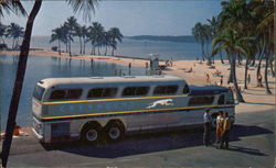 America's Favorite Bus: The Super Scenicruiser Buses Postcard Postcard