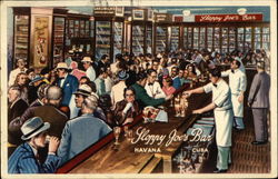 Sloppy Joe's Bar Postcard