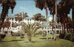 Ormond Hotel and Grounds Postcard