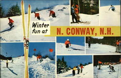 Winter Fun at N. Conway, N.H Postcard